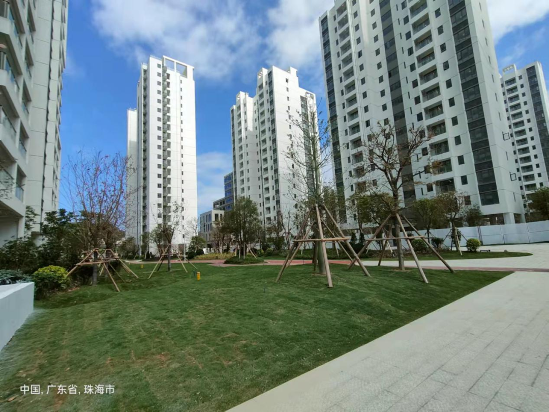 金港亮点 | 金湾区保障性住房（含人才公寓）及其室外配套设施建设工程第一批顺利完成移交